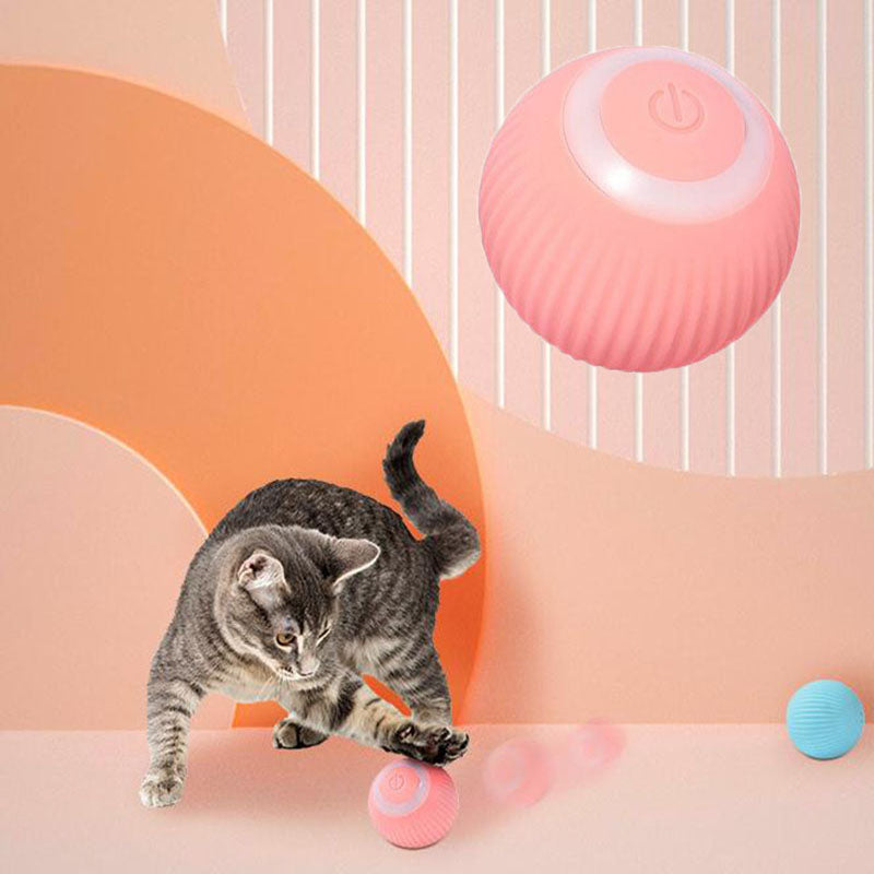 Cat Ball - Bolinha de Brinquedo para Gatos