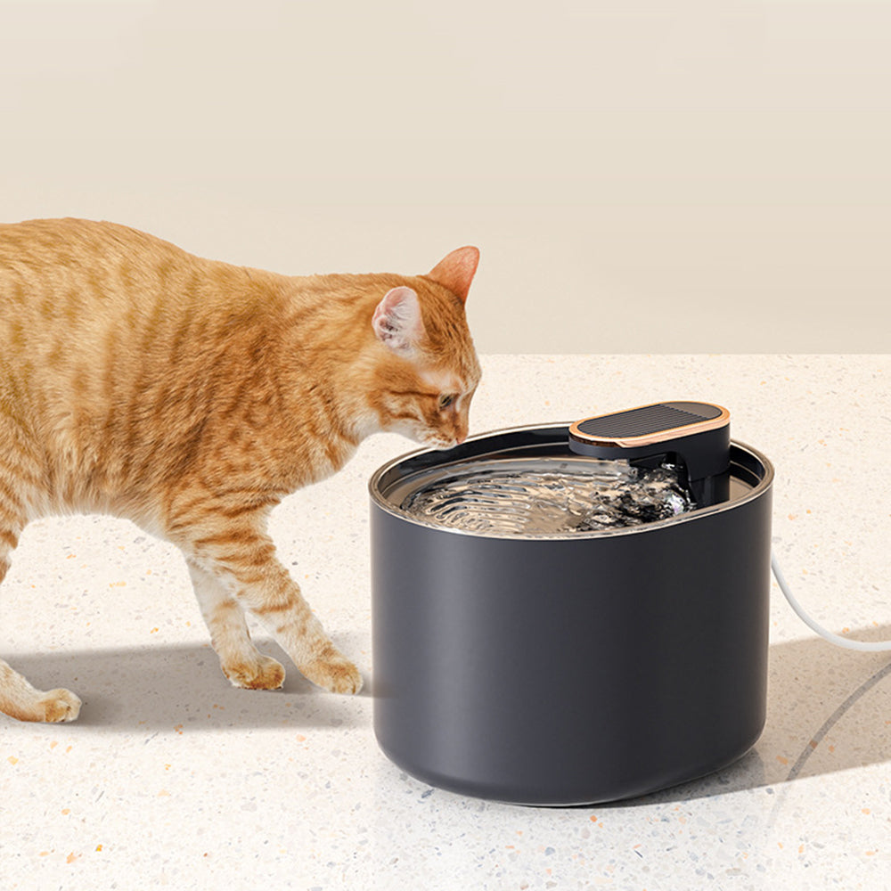 Bebedouro Automatic Pet