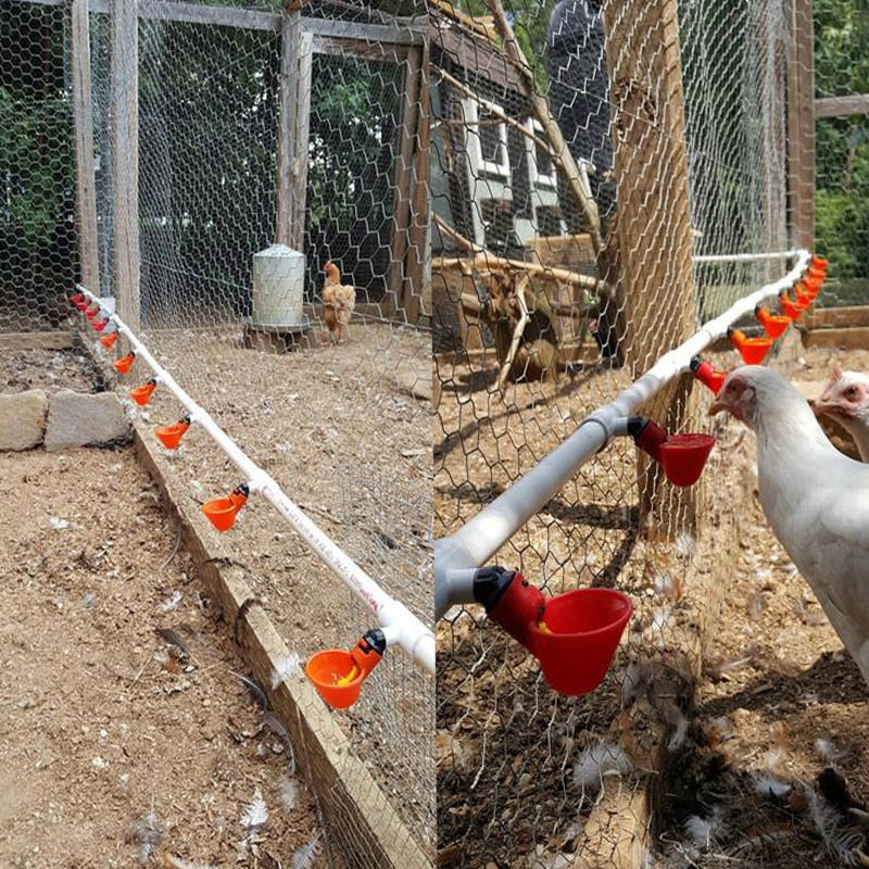 ChickenWater Bebedouro Automático